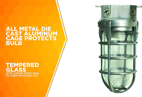 Woods L1706 Vandal Resistant Security Light With Ceiling Mount (150W Incandescent Bulb, Silver)