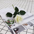 XDLBONNIE Artificial Silk Roses Long Stem Fake Rose Bulk with Stems Real Touch Flowers Bouquet for Wedding Home Party Arrangement Decoration Centerpieces Event Gift 10Pcs (White)