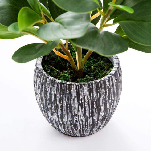 Mini Potted Artificial Plants Real Looking Plastic Fiddle Leaf Fig Plant with Rustic Black Cement Planter for House Office Desk Decor
