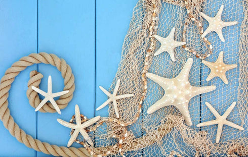 79 x 59 inch Nature Fish Net Wall Decoration with Sea Shells and 10 pcs Natural Starfish Mediterranean Style Decor Wall Decoration