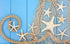 79 x 59 inch Nature Fish Net Wall Decoration with Sea Shells and 10 pcs Natural Starfish Mediterranean Style Decor Wall Decoration
