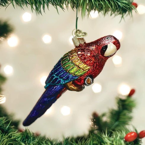 Old World Christmas Ornaments: Bird Watcher Collection Glass Blown Ornaments for Christmas Tree, Parrot