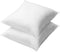 Throw Pillow Inserts - 16 x 16 Inches Decorative Pillows Inserts Set of 2, Premium Hypoallergenic Couch Pillows, Throw Pillows for Couch Bed Sofa - White