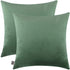 mixeoo Comfy Sage Green Throw Pillow Covers Decorative Square Solid Thick Velvet Super Soft Cushion Cases Home Decor for Sofa Couch Living Room Chair, Set of 2, 20 x 20 Inch