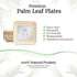 ONEIRA KOUZINA Premium Palm Leaf Plates - 20 large, 10 inch square party pack - Biodegradable Compostable Eco-Friendly Disposable Sturdy. Better than bamboo plates, paper or plastic plates