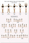 QSHPO Ballet Knowledge Posters Basic Ballet Movements Metal Signs Room Decor Retro Plaque Club School Home Wall Decor 12x16 Inches The Five Basic Ballet Positions 1 12 in x 16 in