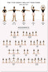 QSHPO Ballet Knowledge Posters Basic Ballet Movements Metal Signs Room Decor Retro Plaque Club School Home Wall Decor 12x16 Inches The Five Basic Ballet Positions 1 12 in x 16 in