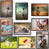 Sooyee 15 Pack Magnet Photo Frame Refrigerator 5x7,Magnetic Picture Holder, Magnetic Picture Frame Fridge(Black)