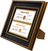 Space Art Deco, 8.5x11 for Business License Frame, Black Over Gold Double Mat with Two 4x9 Business License Openings, Easel Stand, Sawtooth Hanger (Black/Ornate Gold Design)