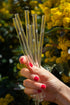 HALM Glass Straws - Earth Day Charity Edition - 6 Reusable Drinking Straws engraved with Endangered Animals - 20 cm (8 in) x 0.9 cm - Made in Germany - Dishwasher Safe - Eco-Friendly