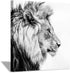 Hardy Gallery Lion Art Wall Decor Picture: Wildlife Portrait Graphic Artwork Print Painting on Wrapped Canvas (12''x12'')