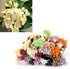 1800Pcs Flower Stamen, 1mm Matt Pearl Double Heads Flower Stamens Mix Color Flower Pistils Headwear Accessories