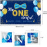 Boys 1st Birthday Banner and Balloon Boxes Party Decoration Set Transparent ONE Blocks Mr. Onederful Baby Toddler Little Man First Birthday Backdrop Blue Decor Photo Shoot Prop