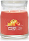 Yankee Candle Apple Pumpkin Signature Medium Jar Candle