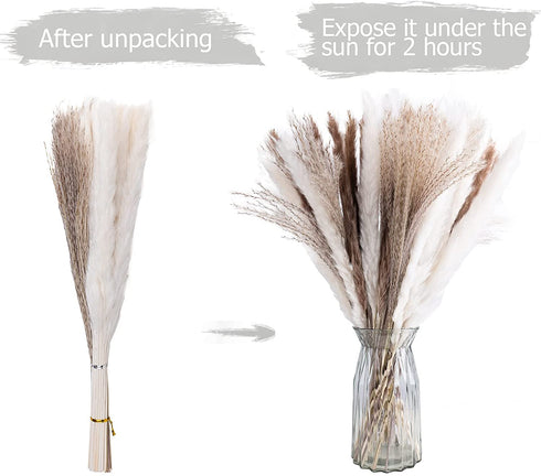 60pcs Natural Dried Pampas Grass,20 Pcs White Pampas & 20 Pcs Brown Pampas & 20 Pcs Reed Grass Boho Decor Wedding Decorations Flower Arrangements Home Decor