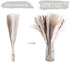 60pcs Natural Dried Pampas Grass,20 Pcs White Pampas & 20 Pcs Brown Pampas & 20 Pcs Reed Grass Boho Decor Wedding Decorations Flower Arrangements Home Decor