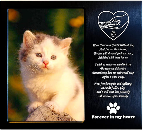 JOEZITON Pet Memorial Gift - Sympathy Gift (Opts) Personalized Metal - Pet Memorial Picture Frame 4x6 - For Loss of Dog or Cat (1B)