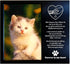 JOEZITON Pet Memorial Gift - Sympathy Gift (Opts) Personalized Metal - Pet Memorial Picture Frame 4x6 - For Loss of Dog or Cat (1B)