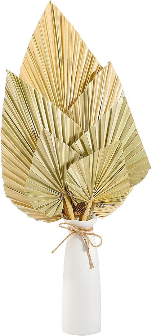 Natural Dried Palm Leaves Real Palm Spears Boho Dried Leaves Decor Tropical Palm Leaves Decoration Artificial Plants Palm Leaves Wedding Home Decor for Wedding Anniversary Home Decor (6 Pieces)