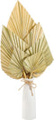 Natural Dried Palm Leaves Real Palm Spears Boho Dried Leaves Decor Tropical Palm Leaves Decoration Artificial Plants Palm Leaves Wedding Home Decor for Wedding Anniversary Home Decor (6 Pieces)