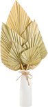 Natural Dried Palm Leaves Real Palm Spears Boho Dried Leaves Decor Tropical Palm Leaves Decoration Artificial Plants Palm Leaves Wedding Home Decor for Wedding Anniversary Home Decor (6 Pieces)