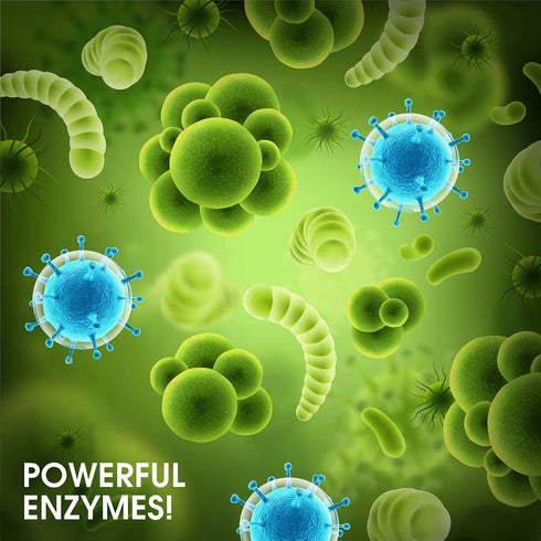 L-Wash Bio-Flow Drain Strips - 48 Strips | Drain Cleaner & Odor Remover Drain Sticks