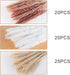 Pampas Grass, 65Pcs Natural Dried Pampas Grass Decor With 20Pcs Cream White Pampas Grass& 20Pcs Brown Pampas&25Pcs Pompous Grass,17.5"Bouquet For Dried Flowers Decor And Flower Arrangements Home Decor