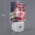 Set of 2 Led Night Lights, Fireworks 4th of July American Flag Patriotic Auto Dusk-to-Dawn Sensor Night Lamp Home Decorative for Adult