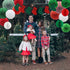 ADLKGG Christmas Party Decorations Hanging Paper Fans Christmas Socks Banner Pom Poms Flowers Paper Honeycomb Balls for Birthday Home Garden Indoor Outdoor New Years Eve Party Decor, 16pcs