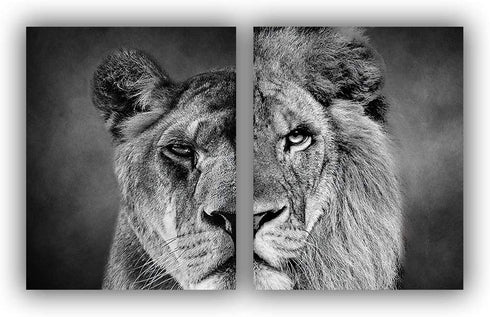 Black and White Theme Wild Animals Lioness Male lion female lion Wall Paintings Set of 2 Wall Art for Bedroom Wall Canvas Decor Wall Art Print Poster for Office Living Home Decor 8X10 inches No frame
