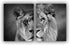 Black and White Theme Wild Animals Lioness Male lion female lion Wall Paintings Set of 2 Wall Art for Bedroom Wall Canvas Decor Wall Art Print Poster for Office Living Home Decor 8X10 inches No frame