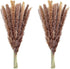 60 Pcs Dried Pampas Grass 18"/45cm Natural Pompous Grass Pompass Branches Plants for Vase Fillers Flower Arrangement Wedding Kitchen Home Décor