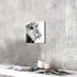 Hardy Gallery Lion Art Wall Decor Picture: Wildlife Portrait Graphic Artwork Print Painting on Wrapped Canvas (12''x12'')