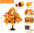CKE 24 Inch Artificial Fall Tree Lighted Maple Tree Battery USB Operated w/Timer, 24 LED Thanksgiving Decorations Table Lights Tree for Autumn Wedding Party Gift Indoor Outdoor Harvest Home Decoration