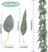 Ageomet 3pcs Artificial Eucalyptus Garland Decor Eucalyptus Vine Greenery with Willow Leaves Faux Spring Eucalyptus Willow Garland for Wedding Room Wall Table Decoration