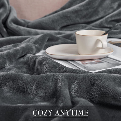 RYB HOME Soft Blanket Twin Size Grey Flannel Lightweight Thermal Fuzzy Bed Blanket for Couch Bed Sofa Travel Camping, W60 x L80