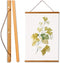 Magnetic Poster Hanger Frame, Teak Magnet Poster Frame 20x16 20x24 20x28 20x30 for Kids Paintings, Photos, Maps, Scrolls, Picture, Canvas Works and Art Prints