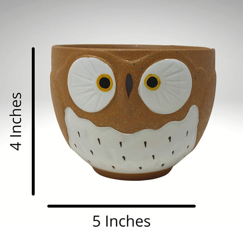 Brown Owl Noodle Bowl with Chopstick Holder for Ramen Soup or Pho, Cute Kitchen Accessory for Girls, 5 Inches