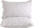 BOSOWOS Queen Pillowcases Set of 2, White Ruffles Embroidered Pillow Cases 20 x 30 Inch, Soft Breathable Microfiber Decorative Pillow Shams 2 Pack with Envelope Closure Fit Home Bed Sheet Sleeping
