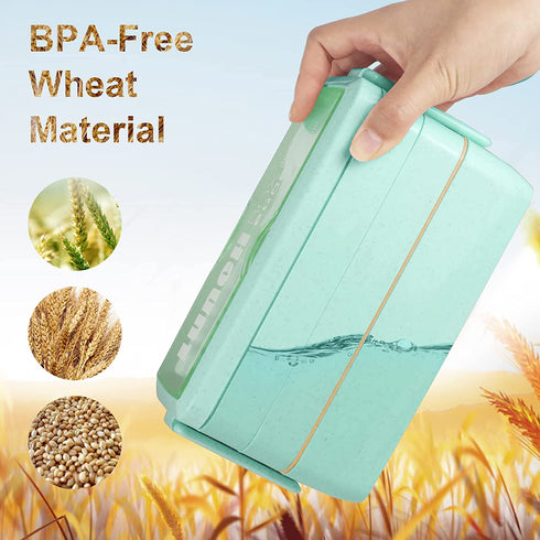 Bento Box Japanese Lunch Box Kit, HSYTEK Stackable Bento Boxes for Adult, Wheat Straw Bento Box with Utensils, Leakproof Lunch Container Kids Bento, Green Bento Box Microwave Safe -1000ml