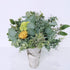 Mixed Eucalyptus Leaves Stems Bulk Faux Seeded Eucalyptus Leaves Sprays Artificial Silver Dollar Eucalyptus Leaves Stems for Floral Wreath Garland Bouquets Arrangement Wedding Greenery Decoration