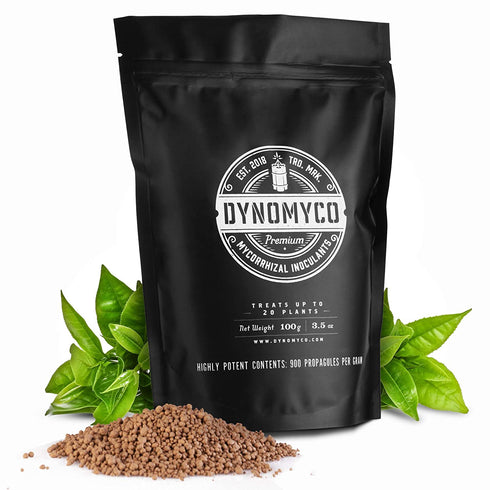 Mycorrhizal Inoculant by DYNOMYCO – High Performing Strains – Concentrated Formula – Improves Nutrient Uptake – Increases Plant Yields Enhances Resilience to Stress Saves Fertilizer (3.5 Oz / Up to 20 Plants)