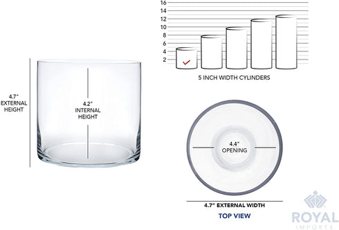 Flower Glass Vase Decorative Centerpiece for Home or Wedding by Royal Imports - Cylinder Shape, 5"x5", Clear