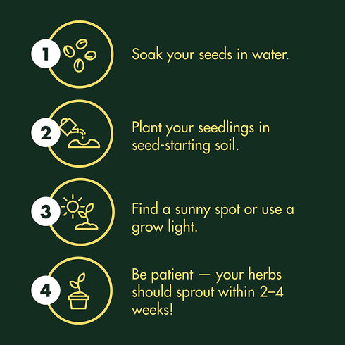 Herb Garden Seeds for Planting - 10 Culinary Herb Seed Packets Kit, Non GMO Heirloom Seeds, Plant Markers, Wood Gift Box - Home Gardening Gifts for Gardeners
