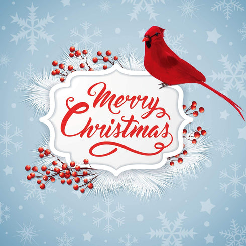 ANECO 6 Packs Artificial Cardinal Red Bird 5.5 Inch Christmas Clip-on Cardinal Christmas Tree Wreath Ornament Decorations