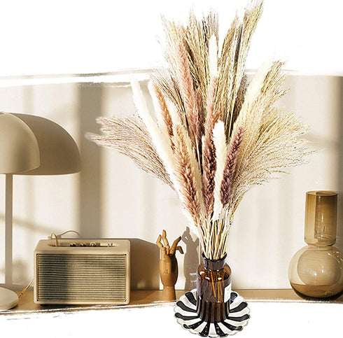 60 Pcs | 15 Pcs White Pampas & 15 Pcs Brown Pampas & 30 Pcs Reed Grass/Natural Dried Pampas Grass for Flower Arrangements Home Decor