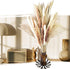 60 Pcs | 15 Pcs White Pampas & 15 Pcs Brown Pampas & 30 Pcs Reed Grass/Natural Dried Pampas Grass for Flower Arrangements Home Decor