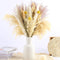 61Pcs Natural Dried Pampas Grass, 17" Tall Fluffy Pompous Grass Dried Flowers Bouquet Decor with Reed Grass/Wheats/Lagurus Ovatus/ for Boho Farmhouse Rustic Vase
