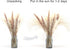 70Pcs Boho Pampas Grass Large,Fluffy Artificial Pampas Grass Decor Tall,Non Shedding Natural Dried Pompass Grass Branches,Pampas Plants for Flower Arrangements Wedding Home Decor