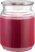 CANDLE-LITE Juicy Black Cherries Single-Wick Candles, 18 oz. Jar, Dark Red